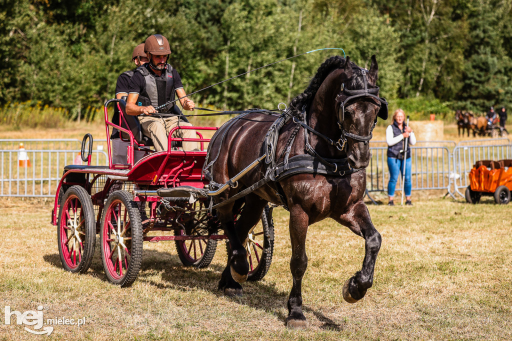 Parada Konna Żarówka 2025