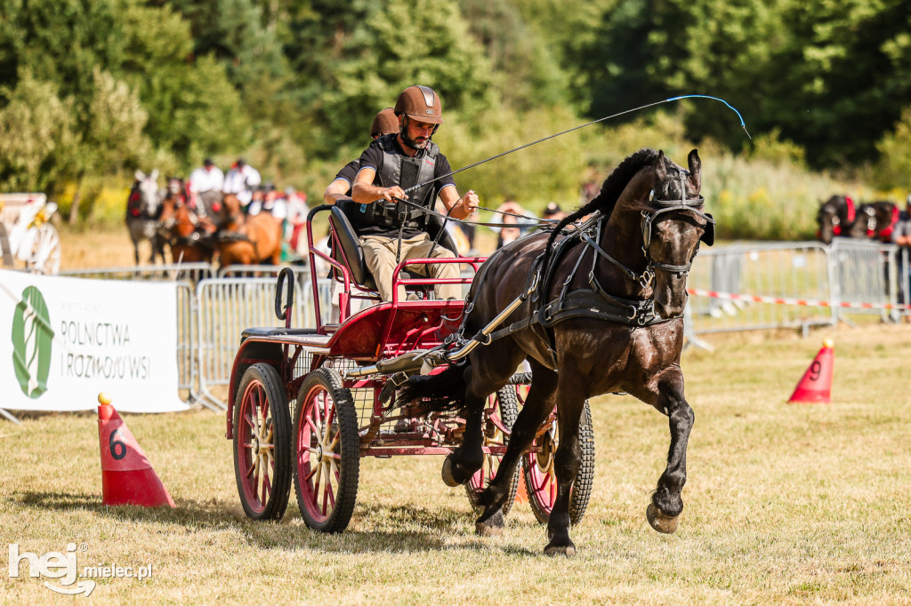 Parada Konna Żarówka 2025