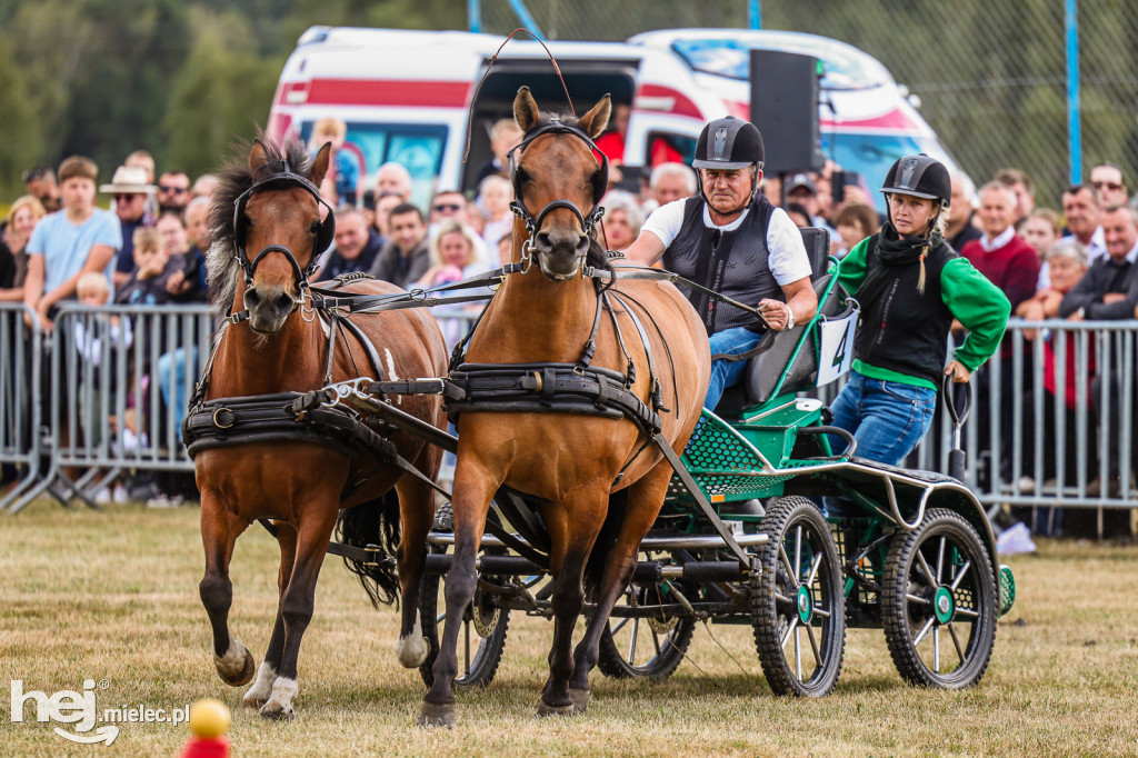 Parada Konna Żarówka 2025