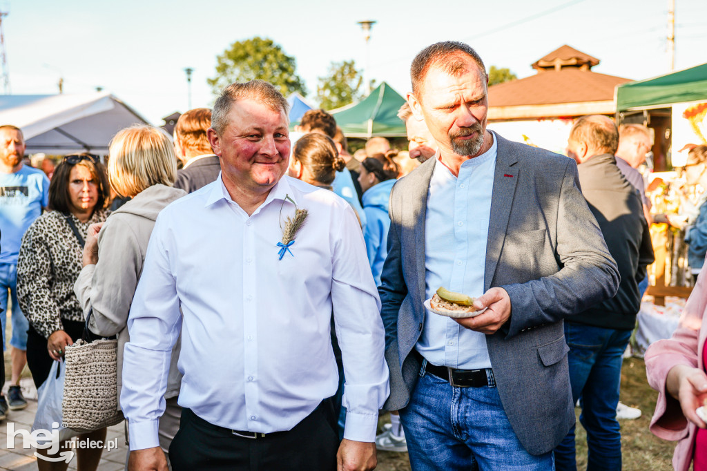 Dożynki gminne w Czerminie 2025