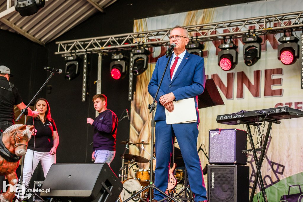 Dożynki gminne w Czerminie 2025