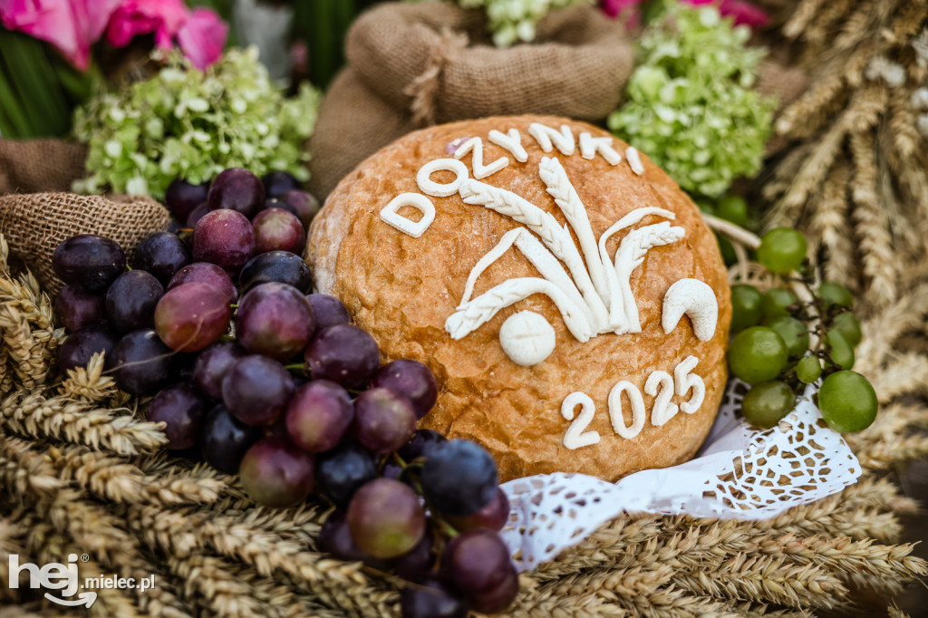Dożynki gminne w Czerminie 2025