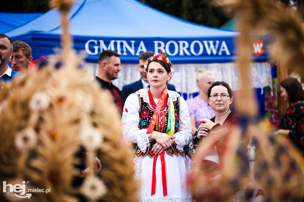 Dożynki Powiatu Mieleckiego