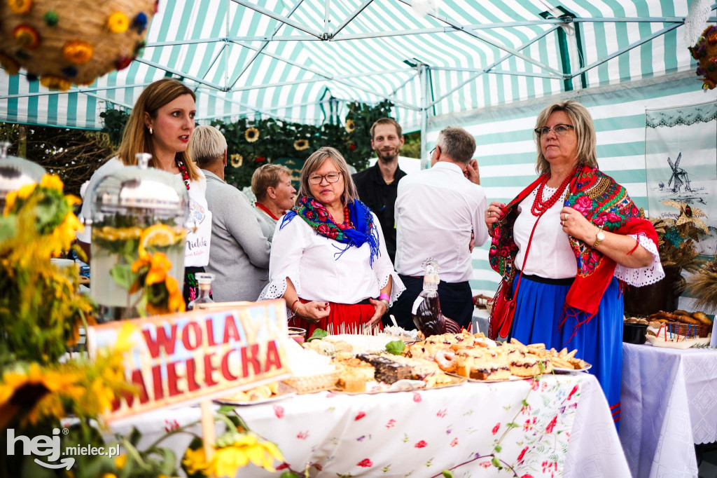 Dożynki Powiatu Mieleckiego