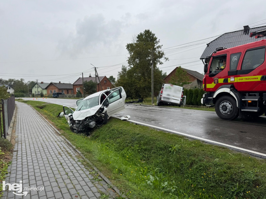 Wypadek w Trzcianie. Poszkodowane dzieci