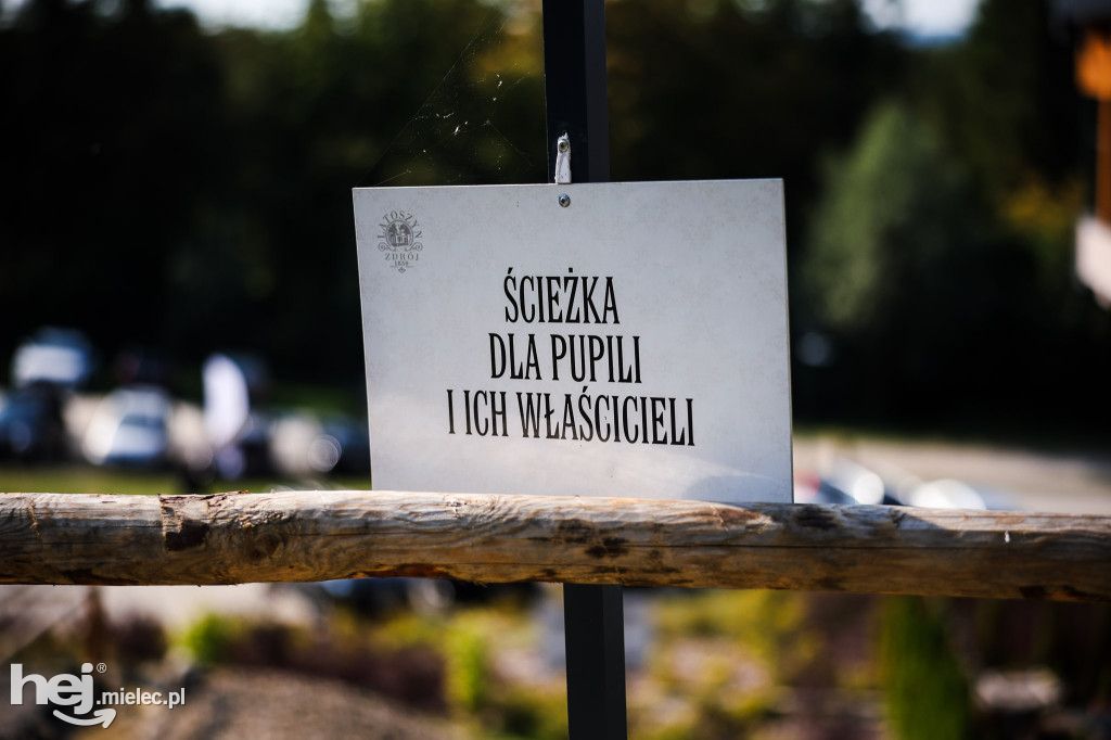 Uzdrowisko Latoszyn Zdrój