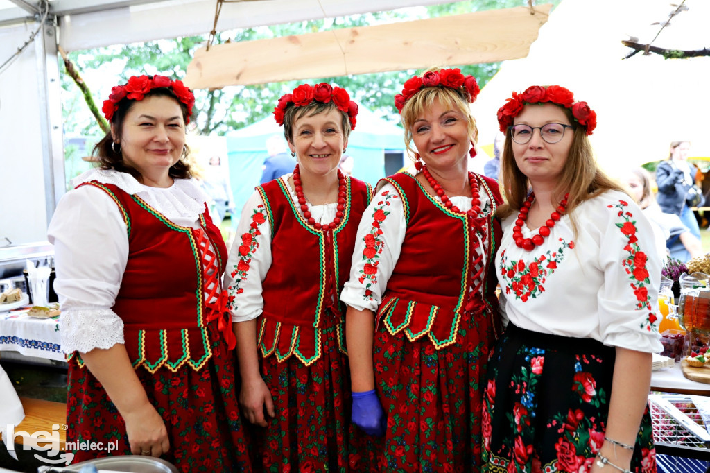 Dzień Ziemniaka w Padwi Narodowej