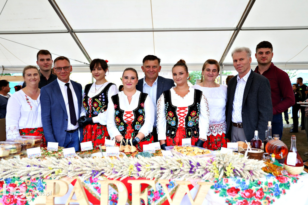Dzień Ziemniaka w Padwi Narodowej