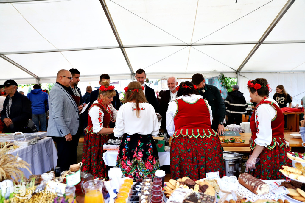 Dzień Ziemniaka w Padwi Narodowej
