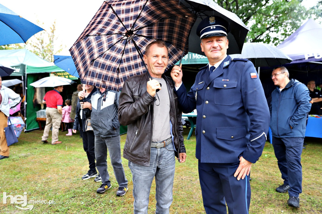 Dzień Ziemniaka w Padwi Narodowej