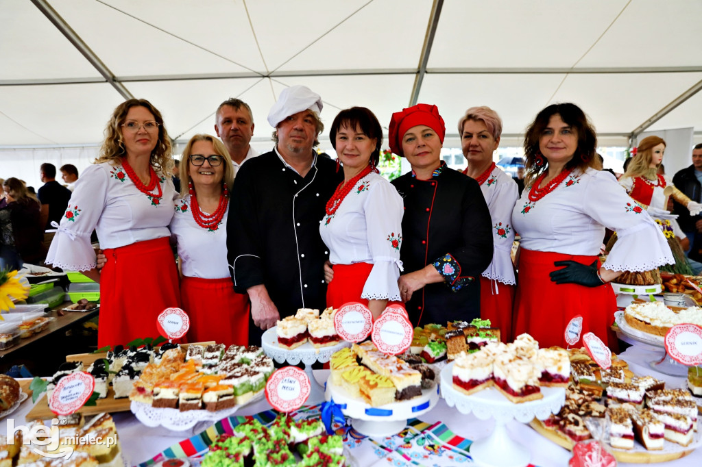 Dzień Ziemniaka w Padwi Narodowej