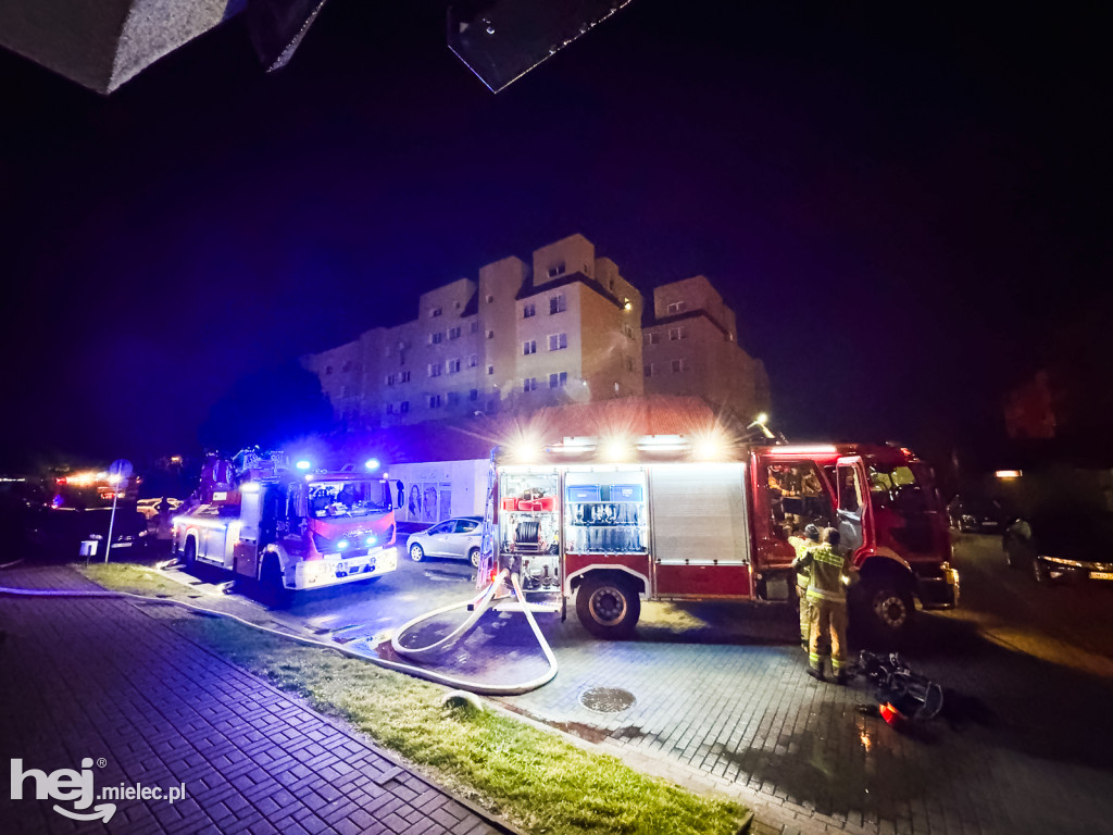 Nocny pożar na ulicy Botanicznej