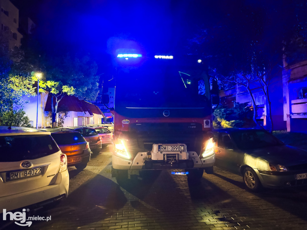 Nocny pożar na ulicy Botanicznej