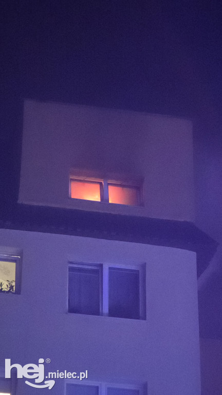 Nocny pożar na ulicy Botanicznej