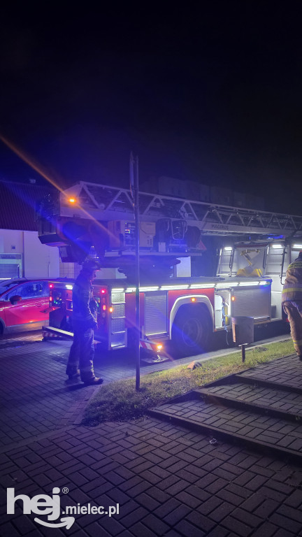 Nocny pożar na ulicy Botanicznej