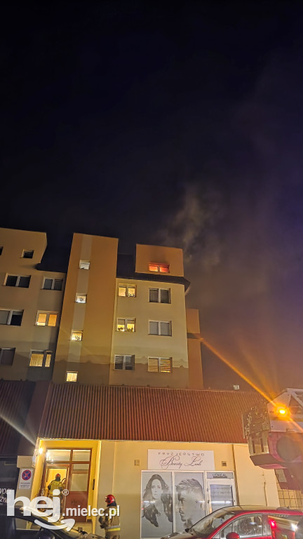 Nocny pożar na ulicy Botanicznej