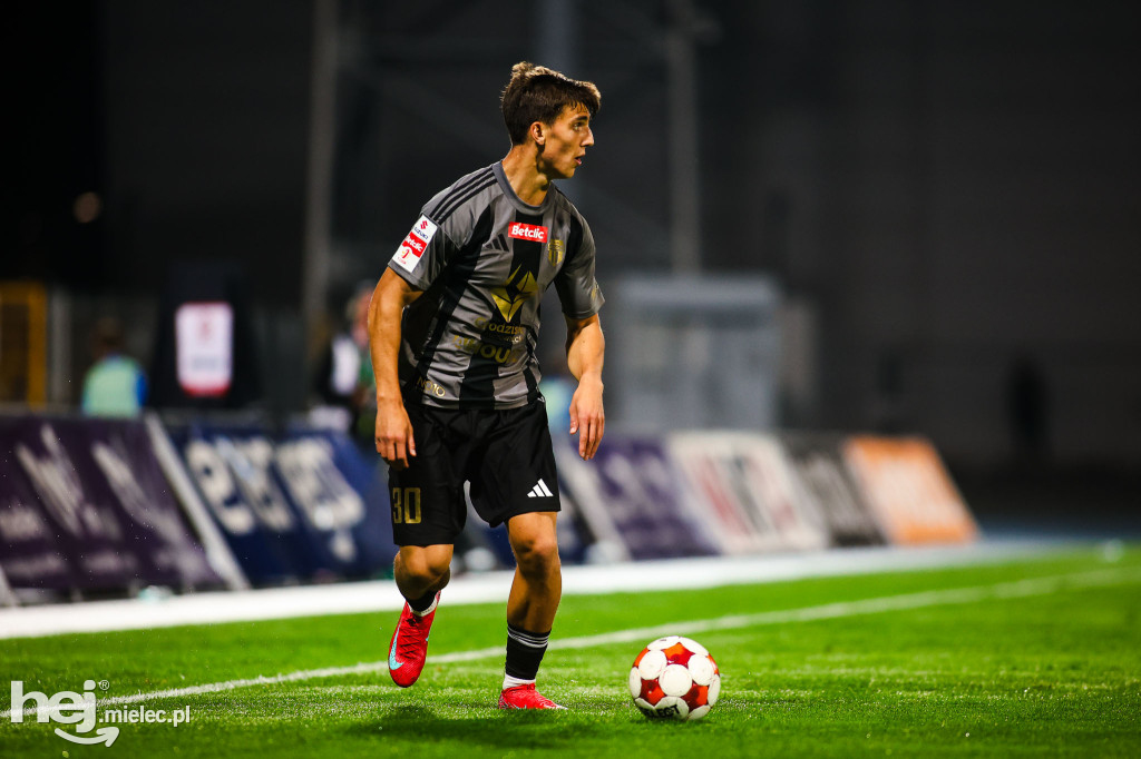 FKS Stal Mielec - Pogoń Grodzisk Mazowiecki [BOISKO]