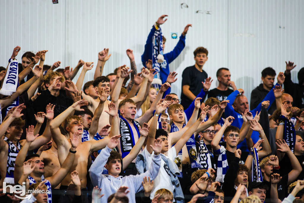 FKS Stal Mielec - Pogoń Grodzisk Mazowiecki [KIBICE]