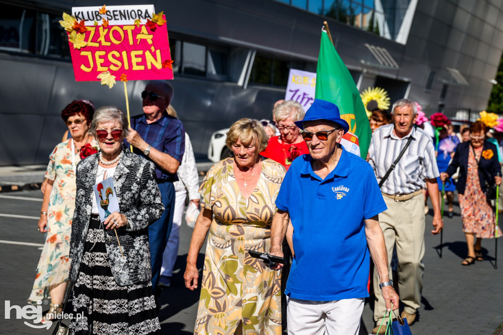 VIII Mieleckie Dni Seniora