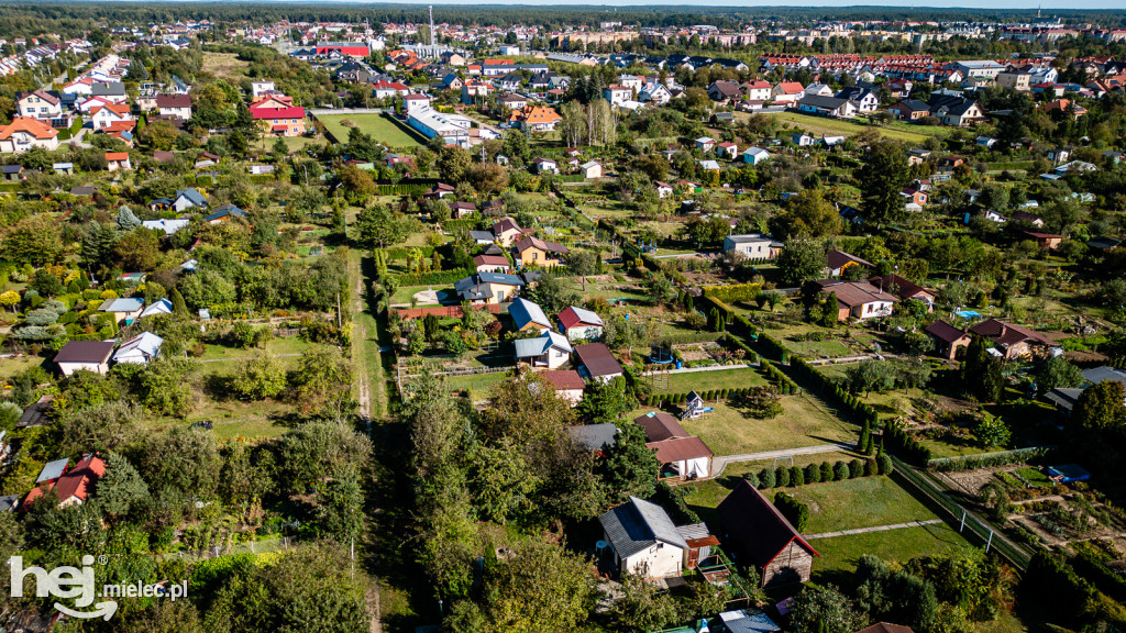 Dzień Działkowca ROD Metalowiec 2025