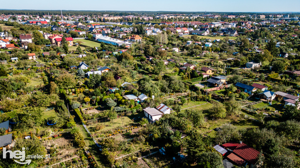 Dzień Działkowca ROD Metalowiec 2025