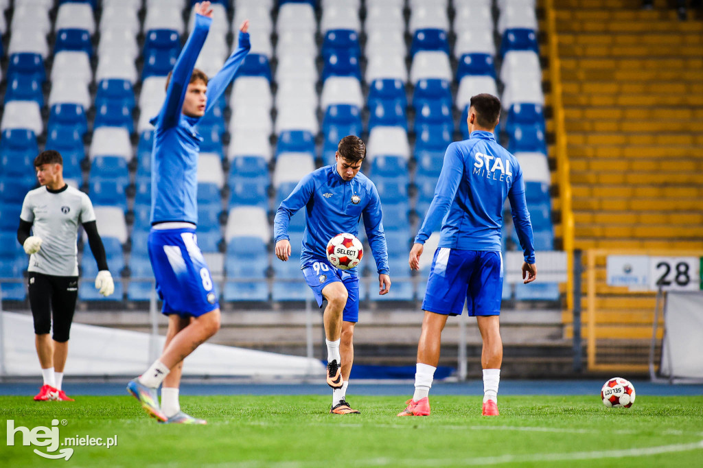 FKS Stal Mielec - Puszcza Niepołomice [BOISKO]