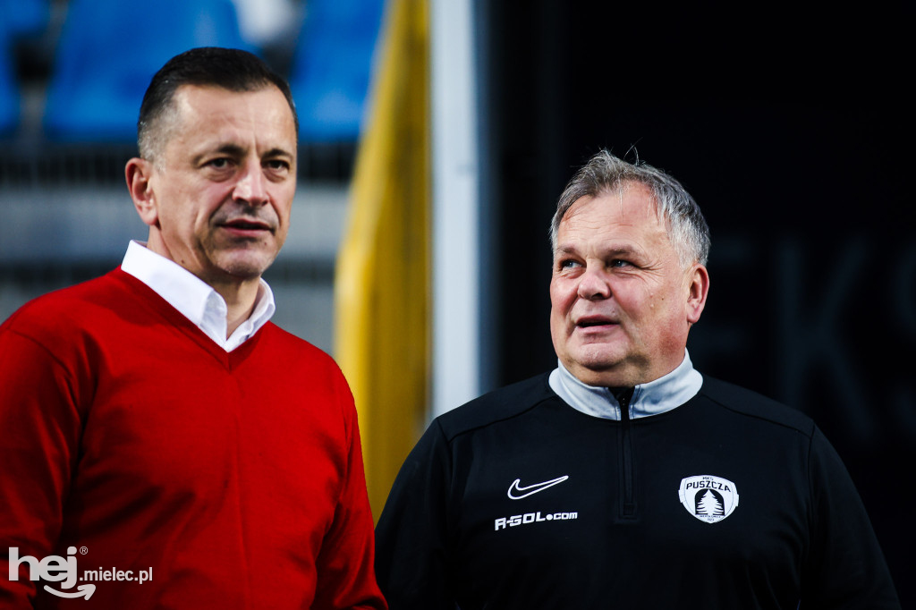 FKS Stal Mielec - Puszcza Niepołomice [BOISKO]
