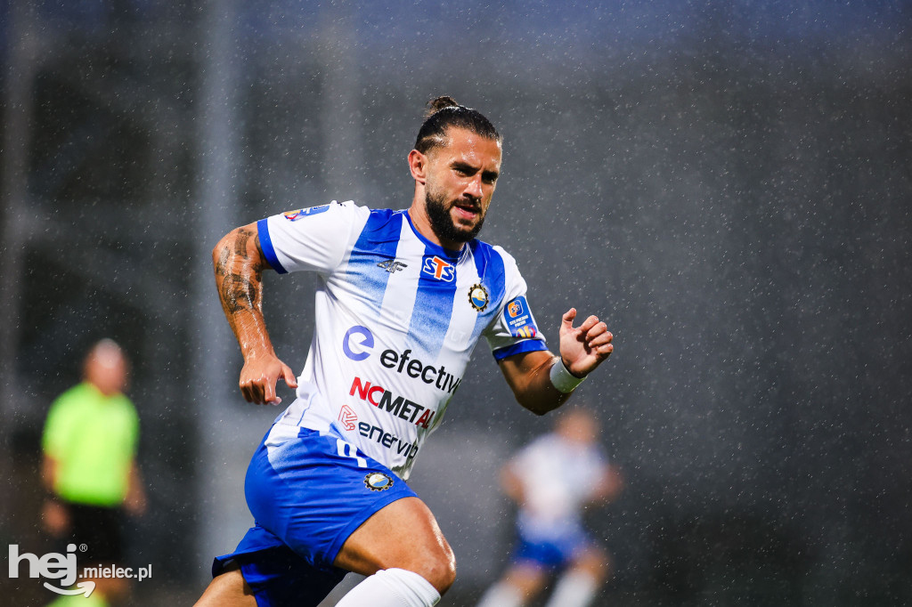 FKS Stal Mielec - Puszcza Niepołomice [BOISKO]