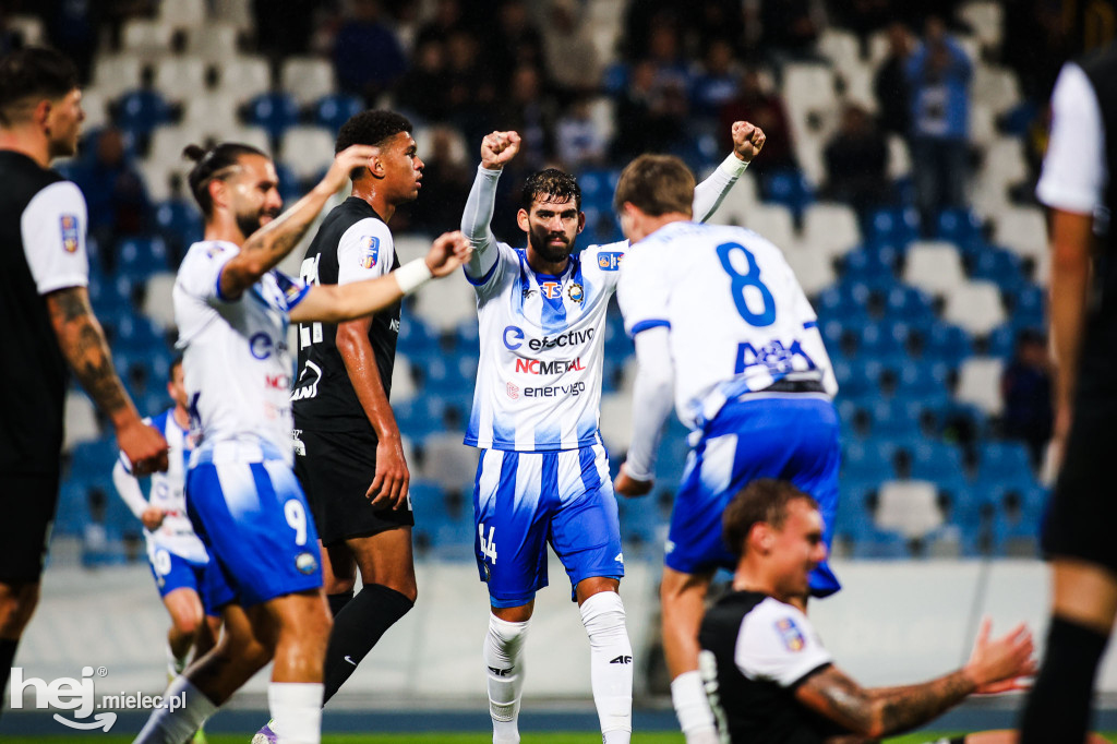 FKS Stal Mielec - Puszcza Niepołomice [BOISKO]