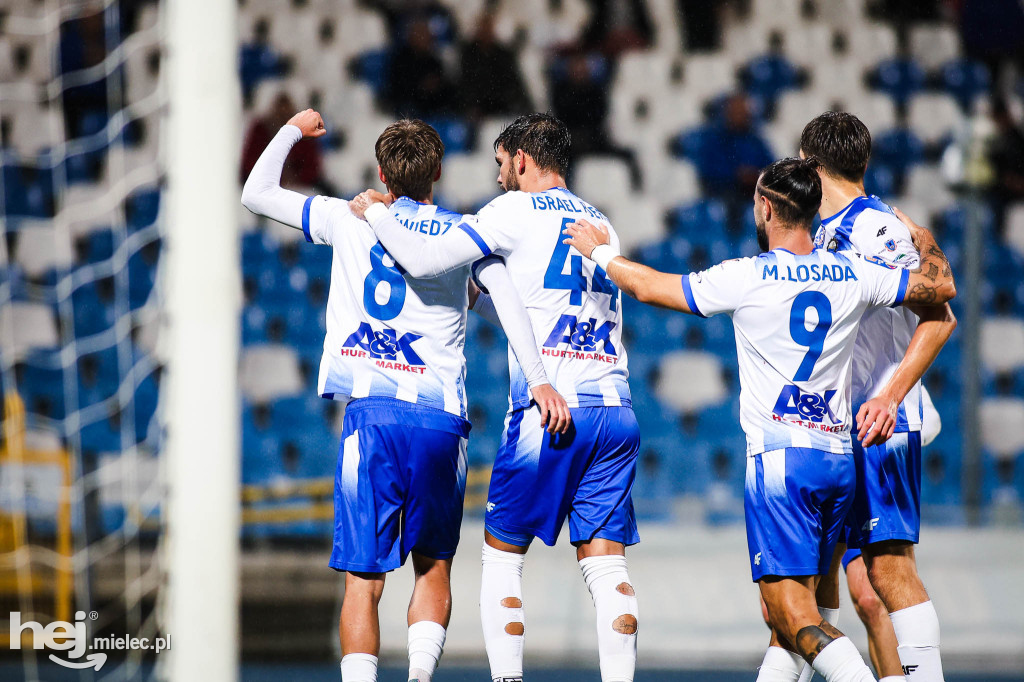 FKS Stal Mielec - Puszcza Niepołomice [BOISKO]