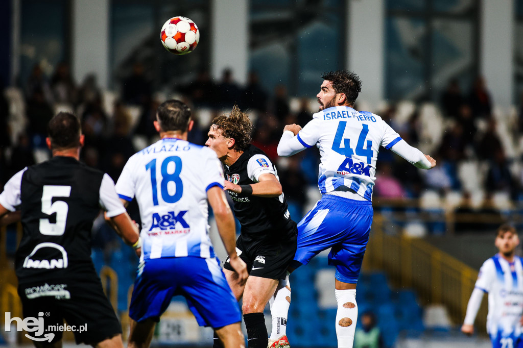 FKS Stal Mielec - Puszcza Niepołomice [BOISKO]