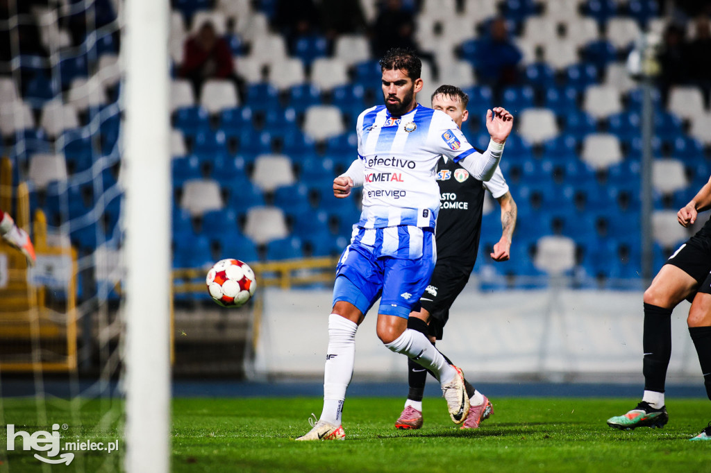 FKS Stal Mielec - Puszcza Niepołomice [BOISKO]