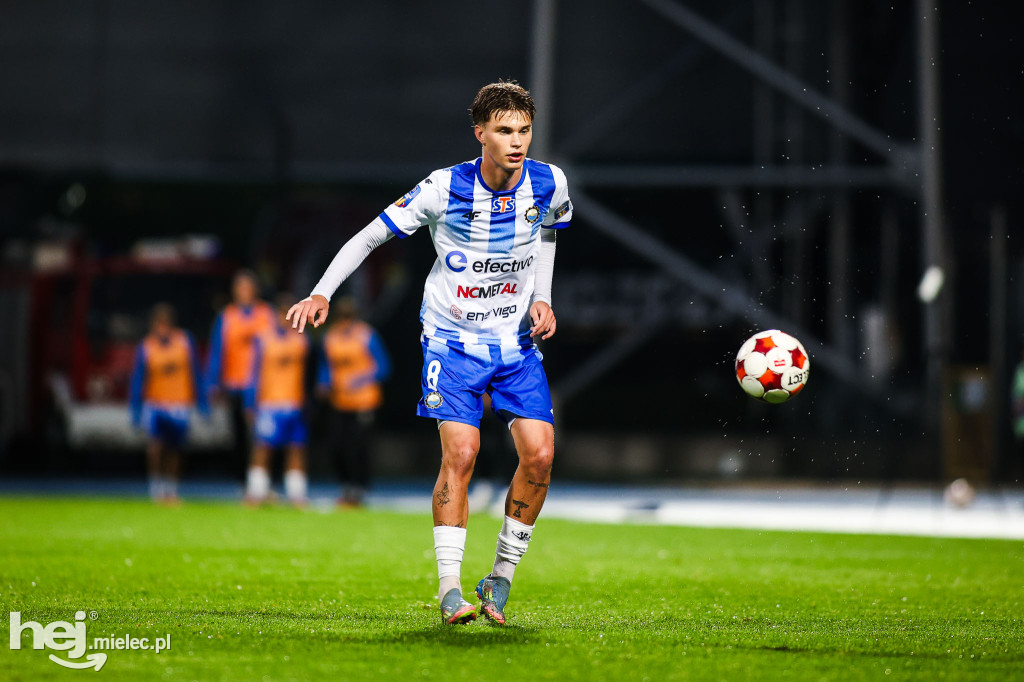 FKS Stal Mielec - Puszcza Niepołomice [BOISKO]