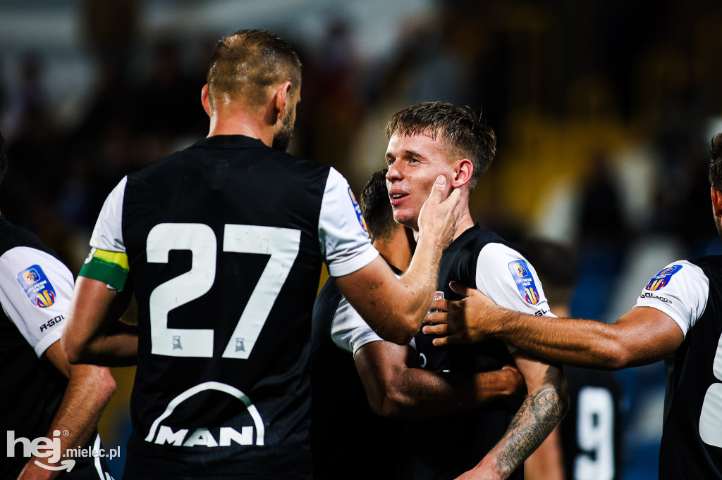 FKS Stal Mielec - Puszcza Niepołomice [BOISKO]
