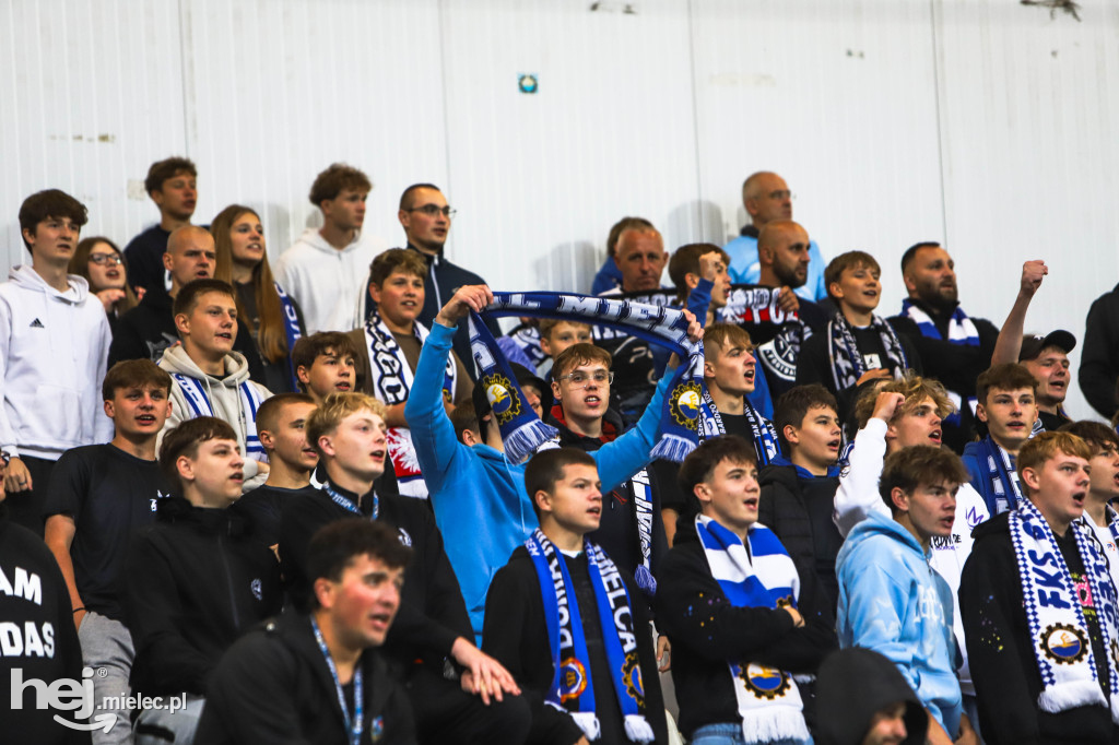 FKS Stal Mielec - Puszcza Niepolomice [KIBICE]