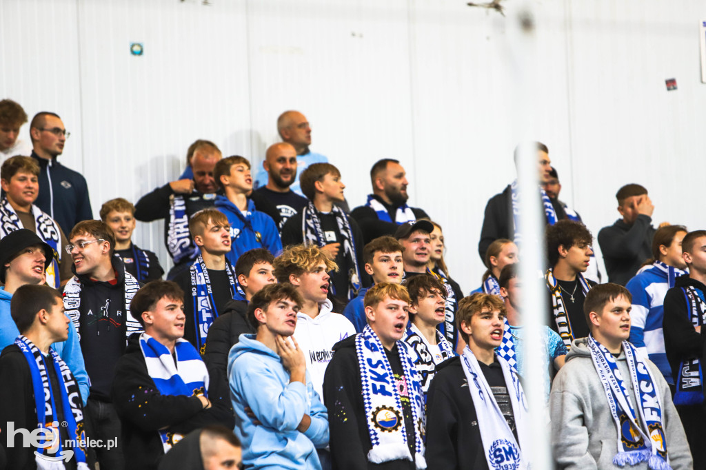 FKS Stal Mielec - Puszcza Niepolomice [KIBICE]