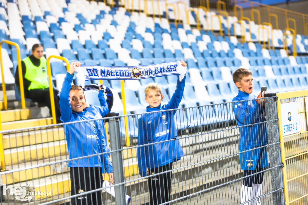 FKS Stal Mielec - Puszcza Niepolomice [KIBICE]