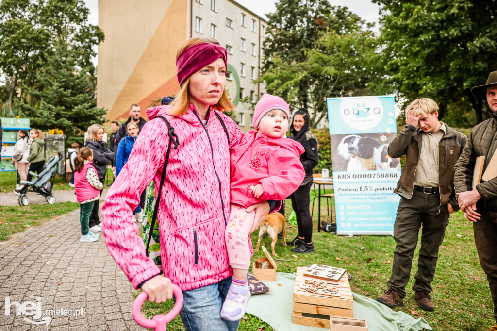 Cisza pełna życia - piknik integracyjny PZG
