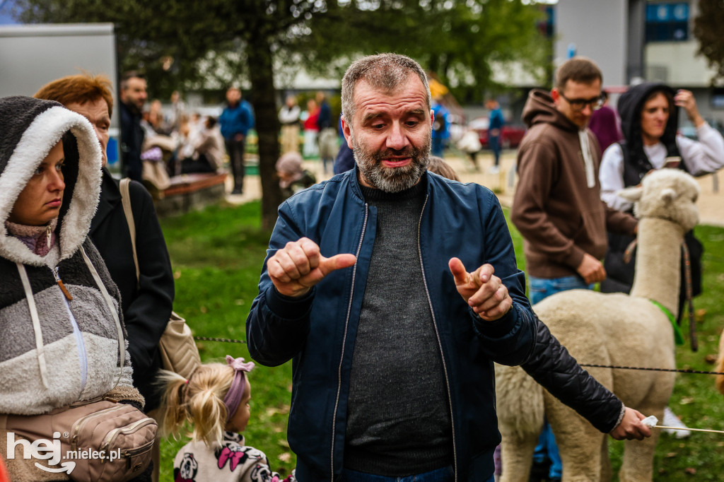 Cisza pełna życia - piknik integracyjny PZG