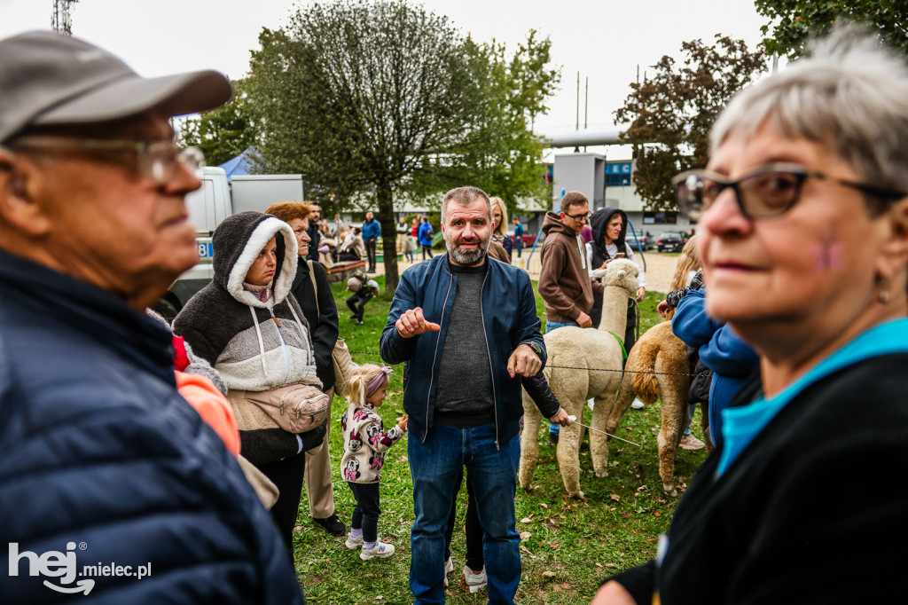 Cisza pełna życia - piknik integracyjny PZG