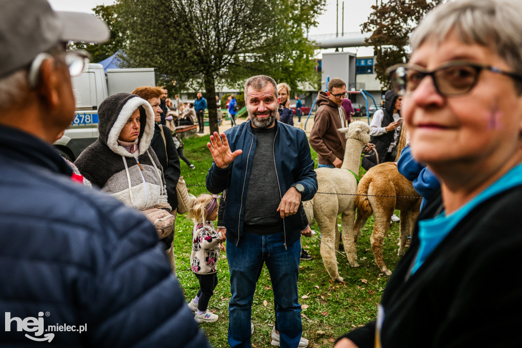 Cisza pełna życia - piknik integracyjny PZG