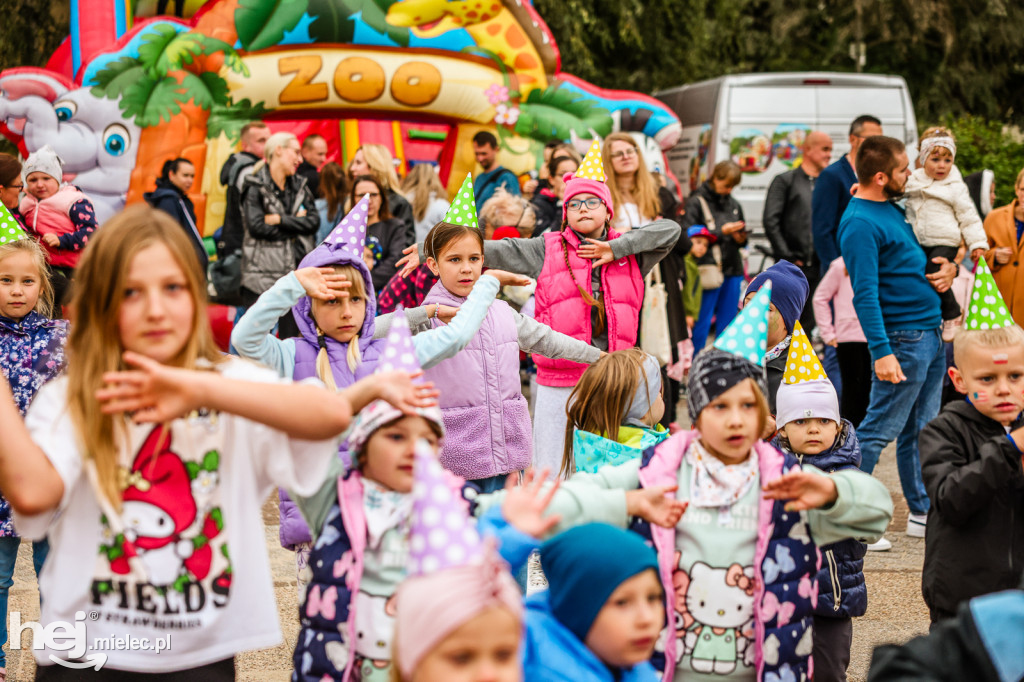 Cisza pełna życia - piknik integracyjny PZG