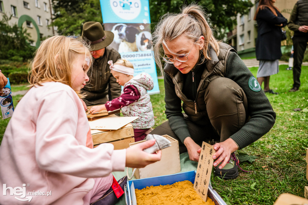 Cisza pełna życia - piknik integracyjny PZG
