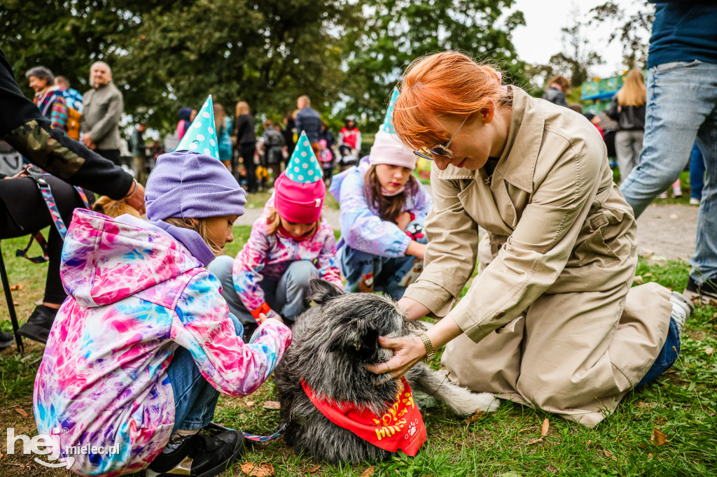 Cisza pełna życia - piknik integracyjny PZG