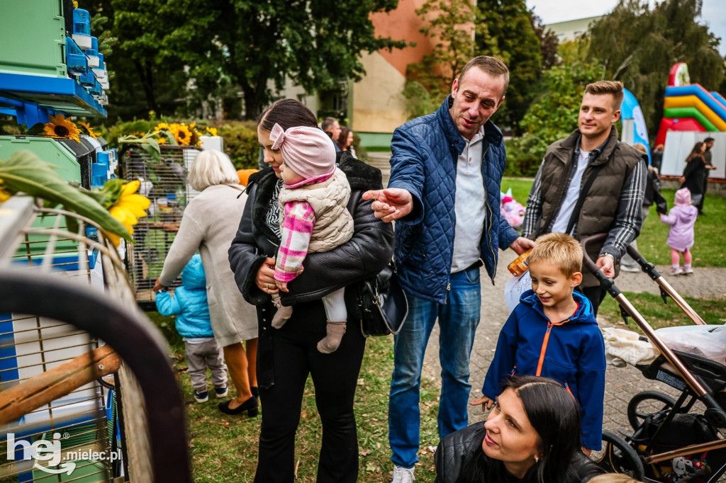 Cisza pełna życia - piknik integracyjny PZG