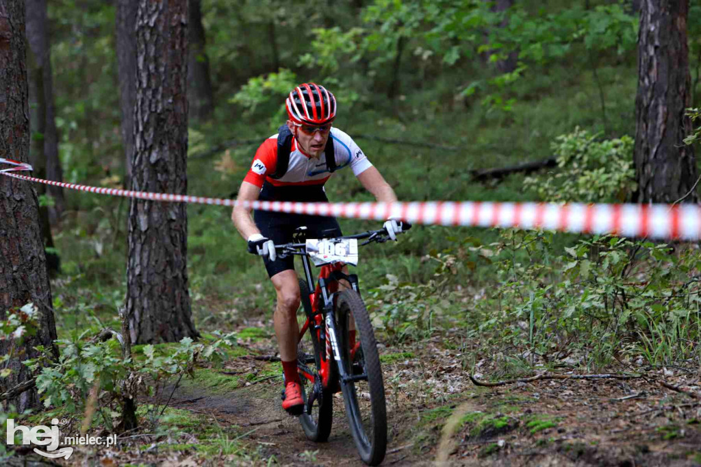 15. Wyścig o Pietruszkę