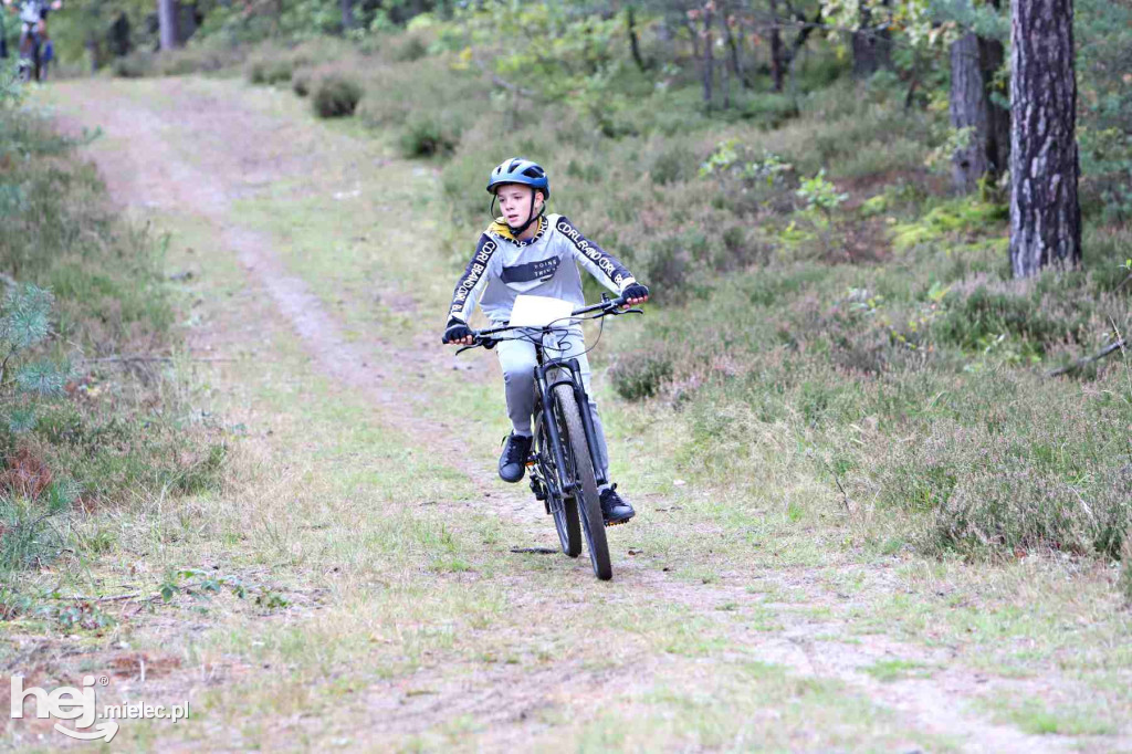 15. Wyścig o Pietruszkę