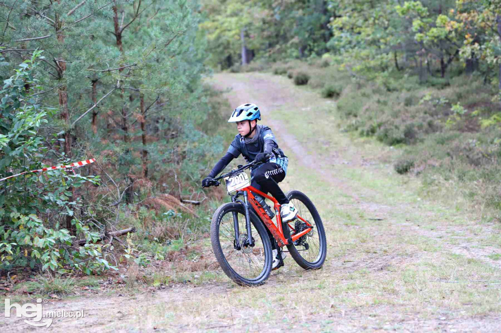 15. Wyścig o Pietruszkę