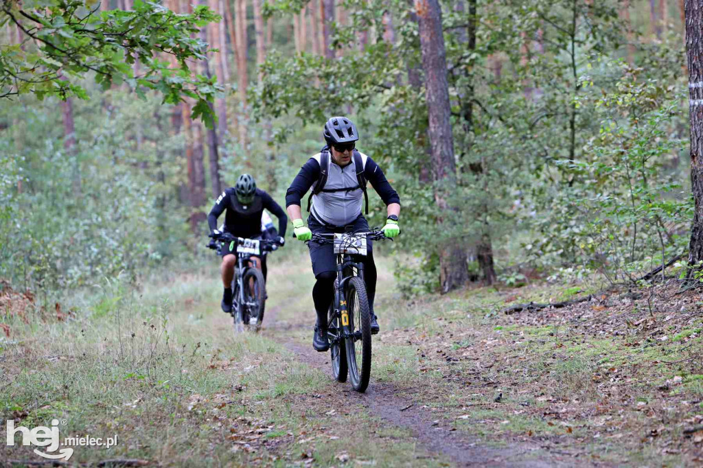 15. Wyścig o Pietruszkę