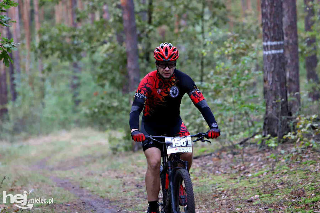 15. Wyścig o Pietruszkę